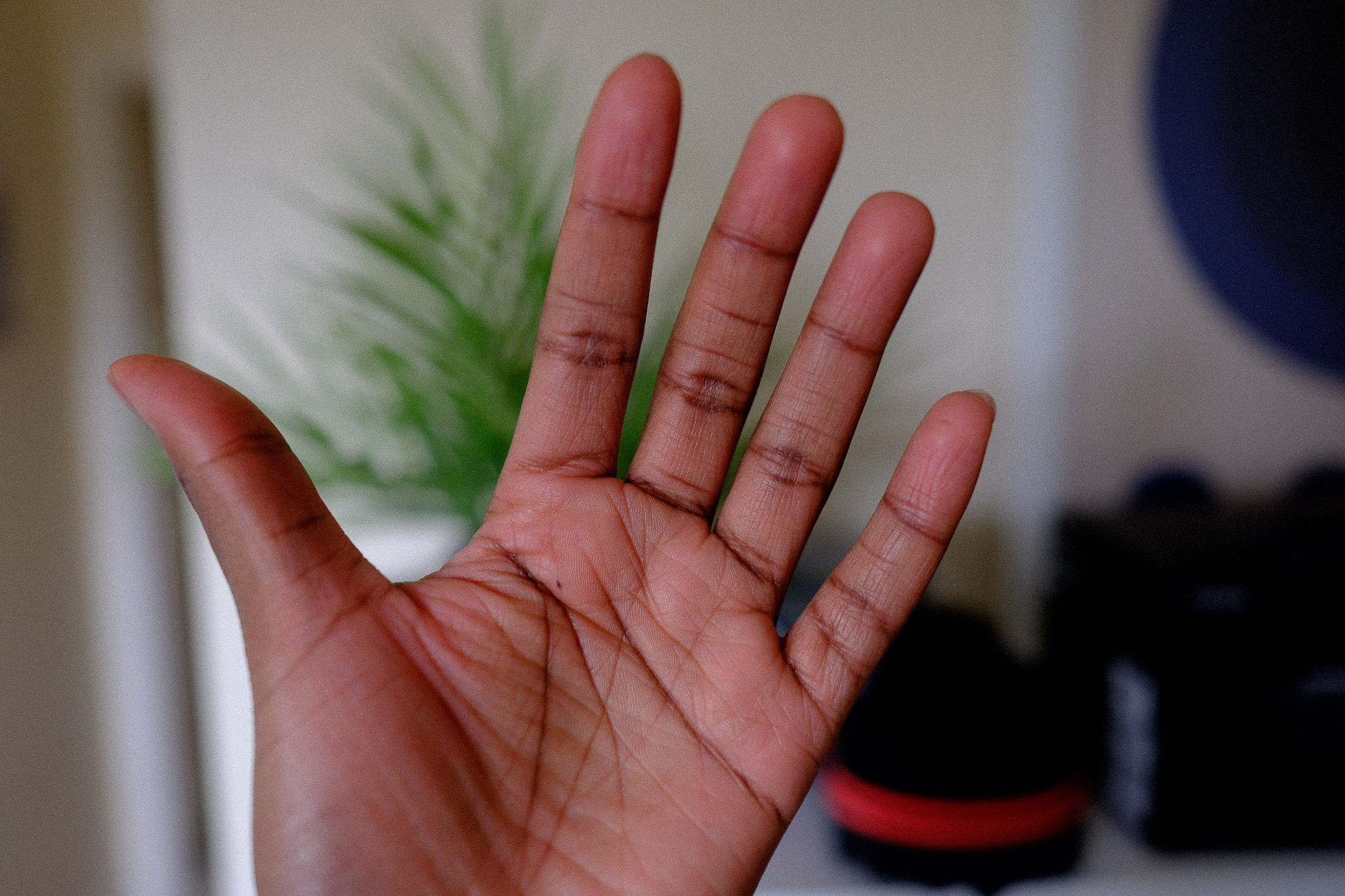 outstretched palm of a mans hand faced towards the camera with a painting, fake flower pot and afro brush behind it